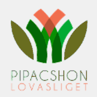 piplan.org