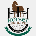 host2online.com