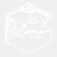 associazionecerere.it