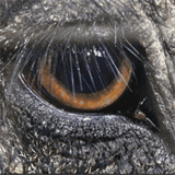 climatejusticemovie.org