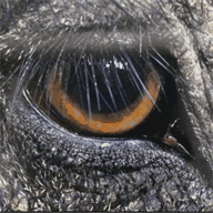 climatejusticemovie.org