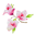 grenadines-bougainvilla.com