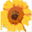 tongjiang.agri.com.cn