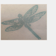 crawfordstreetsv.com