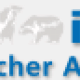 nealbinderwheeler.com