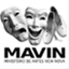 mavinpvni.wordpress.com