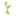biofector-database.eu