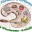 peculiarmarket.wordpress.com
