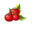 growingtomatoes4you.com