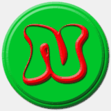 ngf-ins.org