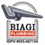 biagiplumbing.com
