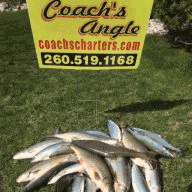 coastalcottagecollectibles.com