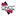 oncgroup.com