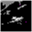 httpdserver.info