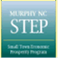 murphyncstep.wordpress.com