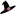 joeywhill.net