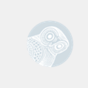 tessascott.net