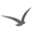 ensembleliberte.ch.puls.ch-meta.net