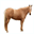 equineinstinct.com