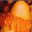 exploziisolare.wordpress.com