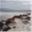 writeonthebeach.wordpress.com