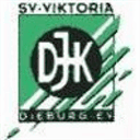 shop.djk-viktoria-dieburg.de
