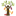 hcpcacao.org