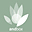 andbox.info
