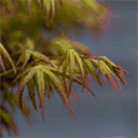 bottegateatralececconi.it