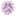 deadseanaturalproducts.com