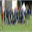 cslmjn.com