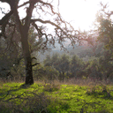 shootingstarsandsatellites.com