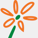 blumen-groehsges.eu
