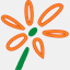 blumen-groehsges.eu