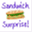 sandwichsurprise.com