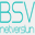 bsv.is