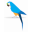 parrotsoftware.com