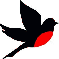 childpsychservices.com