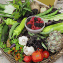 oxfordgardenproject.co.uk