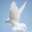 pmet.net