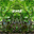 deftronix.bandcamp.com
