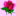 rose-rosetree.com