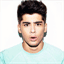 zaynmalik.eu