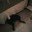 gettingoutintheworld.wordpress.com