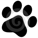 squeakycleank9s.com