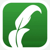 festivaldesculturesjuives.org