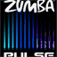 zumbapulseatx.tumblr.com