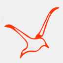 bungalowslasgaviotas.com