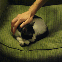 gribou.over-blog.com