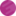cushy.net